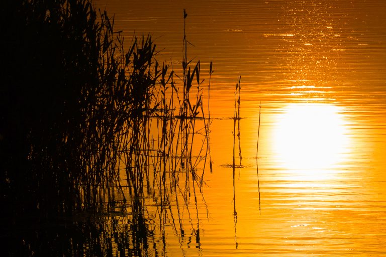Chew Valley Lake
