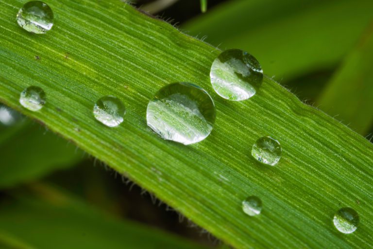 water droplets