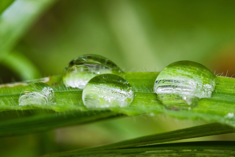 water droplets